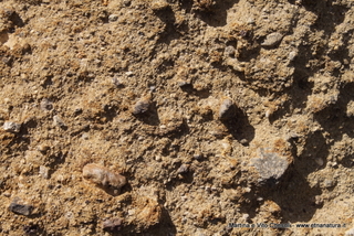 rra delle Concazze-05-08-2014 14-54-39